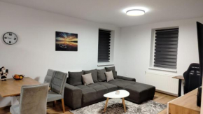 DB Guest House